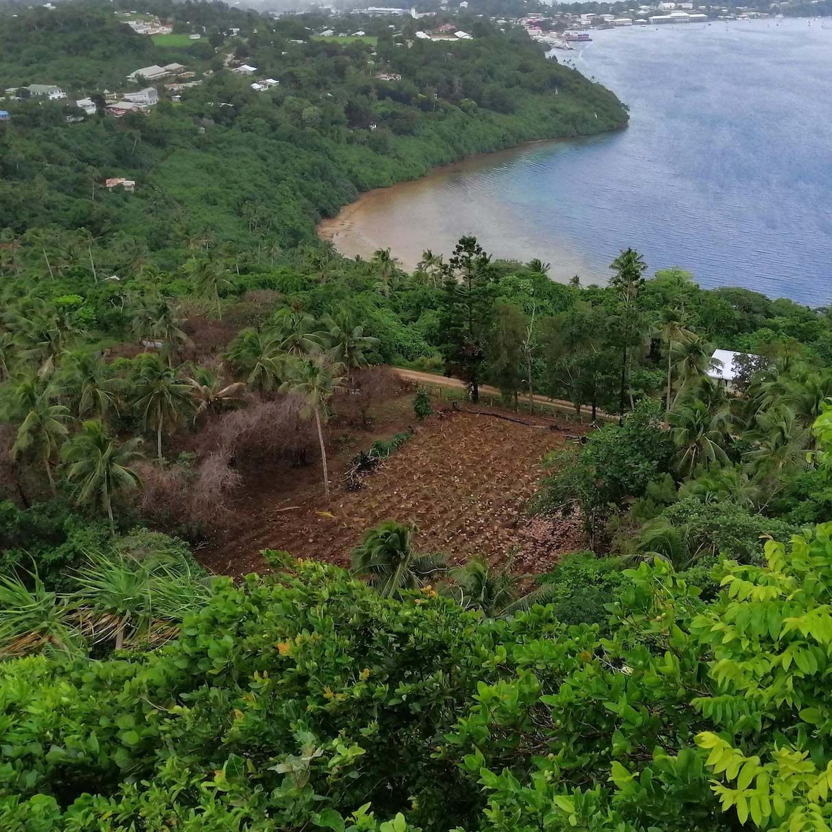 Livelihoods And Landscapes Welcome